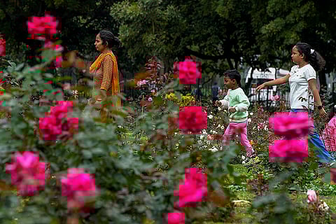 NDMC's Rose Festival in Delhi