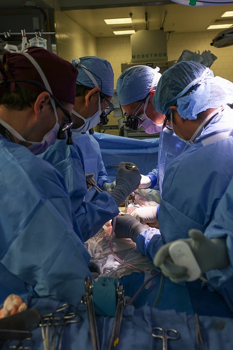 Surgeons perform the world’s first genetically modified pig kidney transplant into a living human at Massachusetts General Hospital.