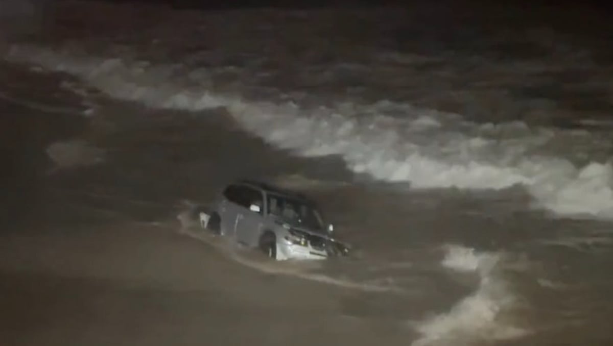 Two dogs, believed to be Boston Terriers, were found unharmed inside the vehicle after the crash.  - null