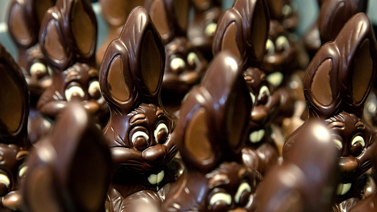 AP : Chocolate rabbits wait to be decorated at the Cocoatree chocolate shop, April 8, 2020, in Lonzee, Belgium. 