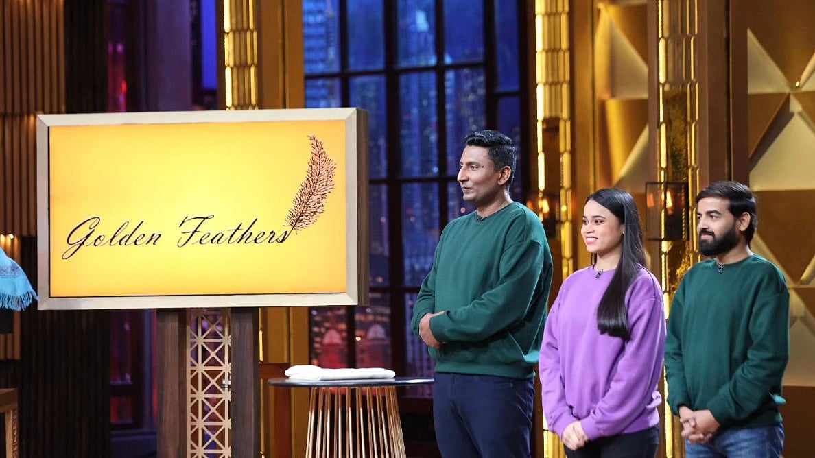 Instagram : 'Golden Feathers'