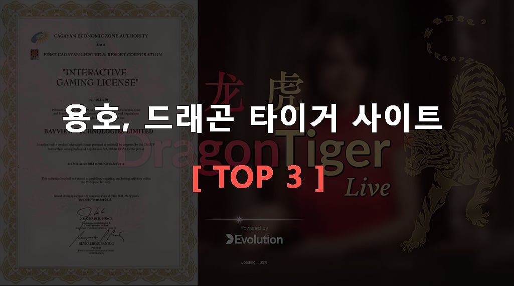 용호, 드래곤 타이거 사이트 [ TOP 3 ]