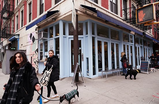 NYC's Dog Cafe Reopens Following $250K Donation From Locals 