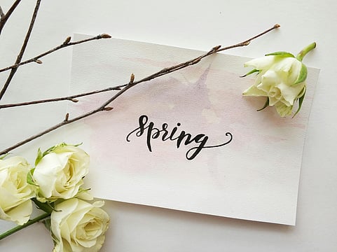 March 19th, 2024: Celebrate The First Day Of Spring And Explore Earth's Equinoxes And Solstices