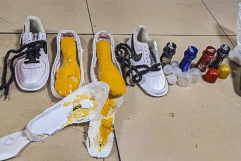 Cocaine worth Rs 19.79 cr seized at Mumbai airport