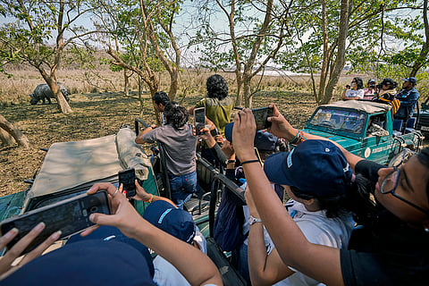 Pobitora Wildlife Sanctuary