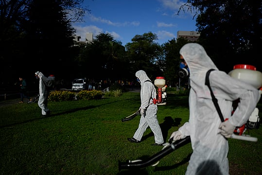 In Photos: Argentina Dengue
