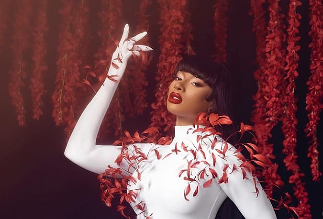 @theestallion/ Instagram : Megan Thee Stallion