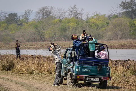 Pobitora Wildlife Sanctuary