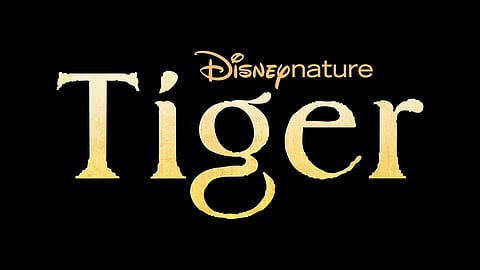 'Tiger'