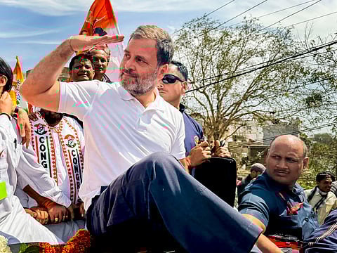 Congress MP Rahul Gandhi |