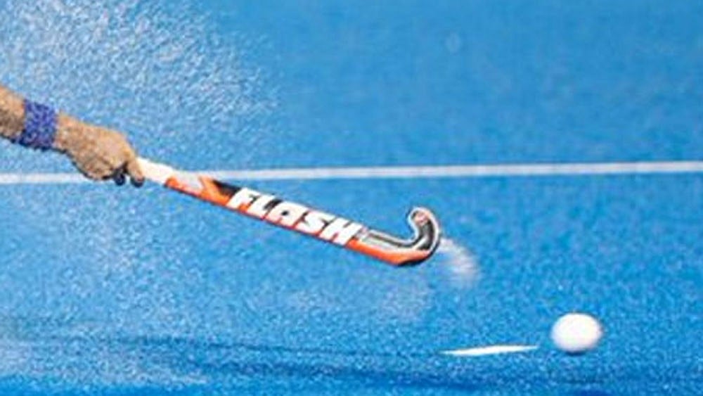 Artificial turfs require 6,000 litres of water daily for maintenance, as per available estimates. - File