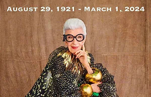 Barbie iris apfel doll shop