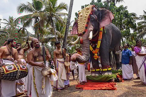 PETA gifts mechanical elephant to Kochi temple