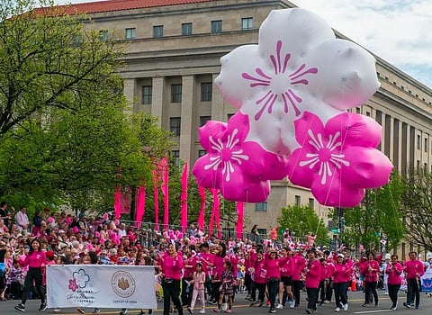 Cherry Blossoms Festival Parade