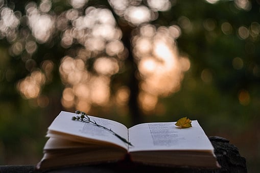 World Poetry Day: Reviving Ancient Tradition, Forging Modern Connections