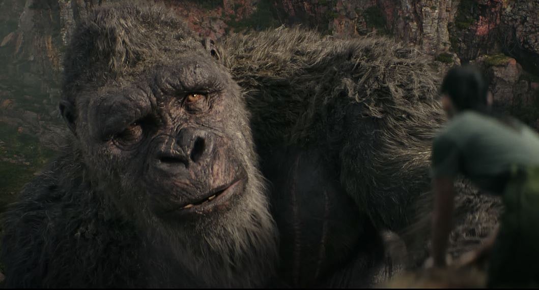 Musfikur Rahman : Godzilla x Kong