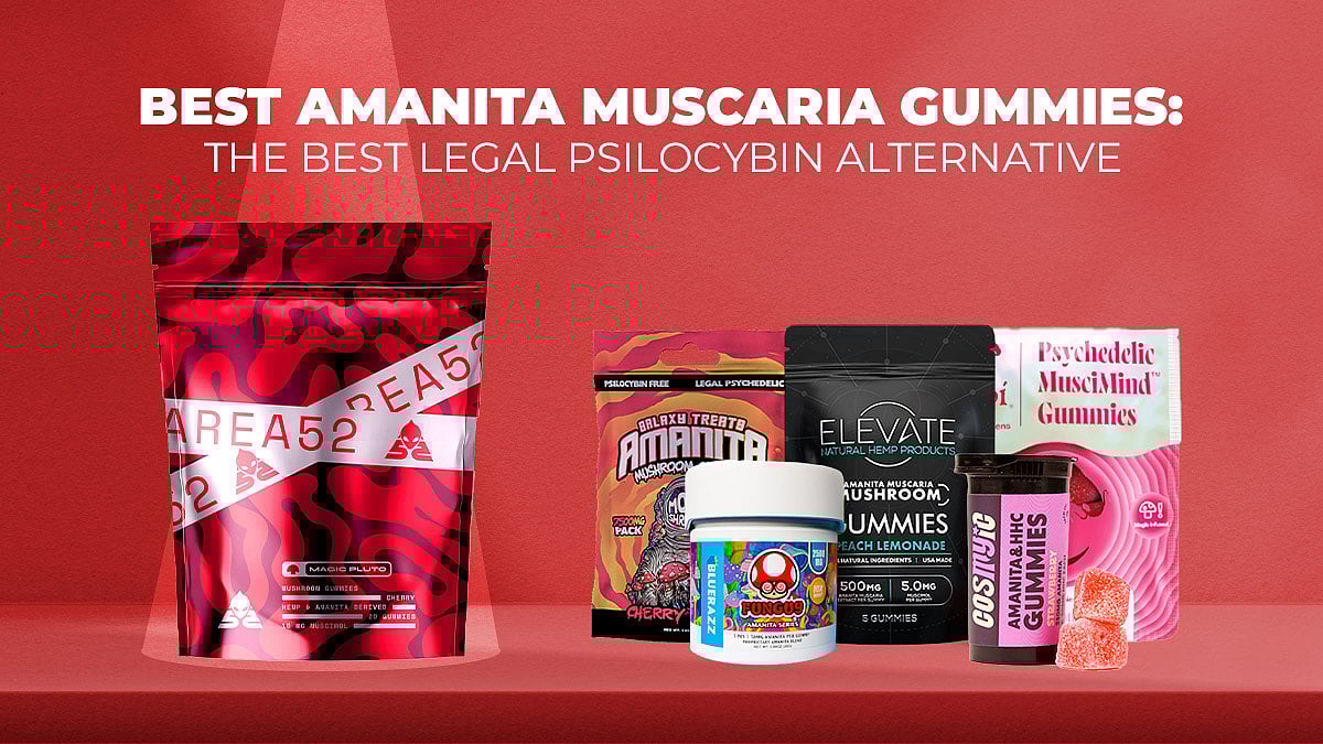 Best Amanita Muscaria Gummies: 100% Legal Psychedelic Shrooms