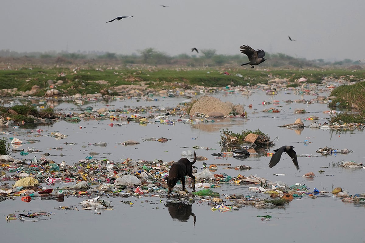 World Water Day | Pics