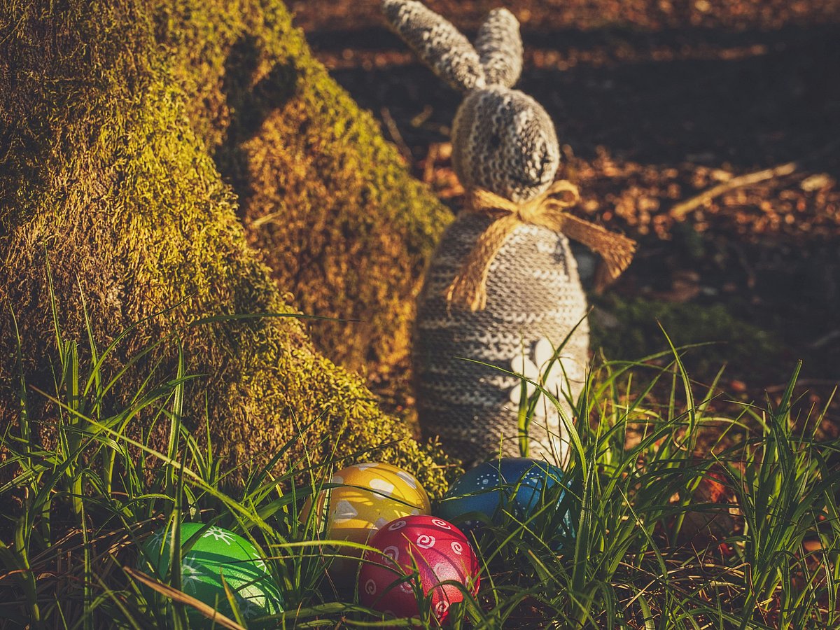 Pexels : Easter Traditions And Symbols