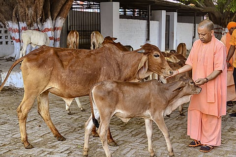 UP CM Yogi Adityanath