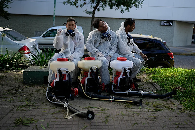 Argentina Dengue