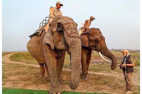 PM Modi at Kaziranga National Park