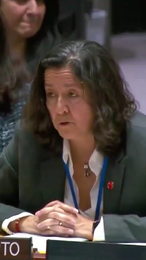 UN Security Council Meeting