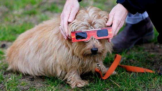 Pinterest : Representative image