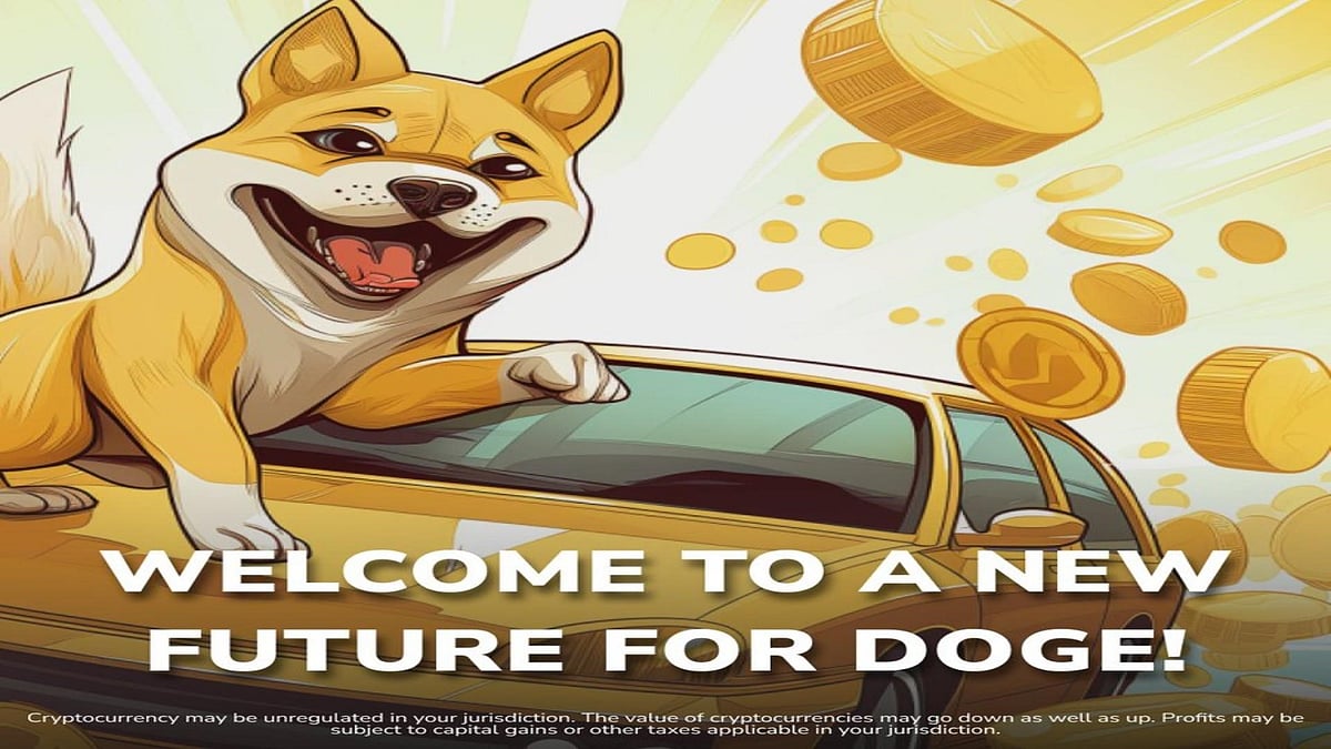 Dogecoin20 (DOGE20)
