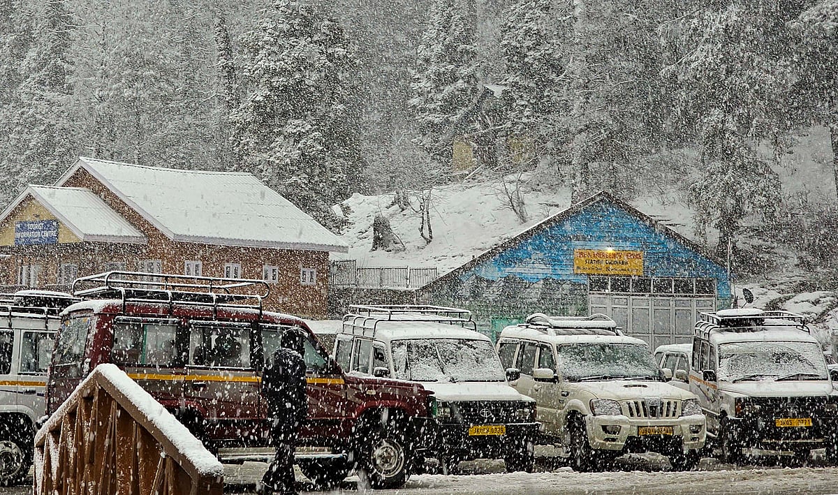 Fresh snowfall in Gulmarg - PTI