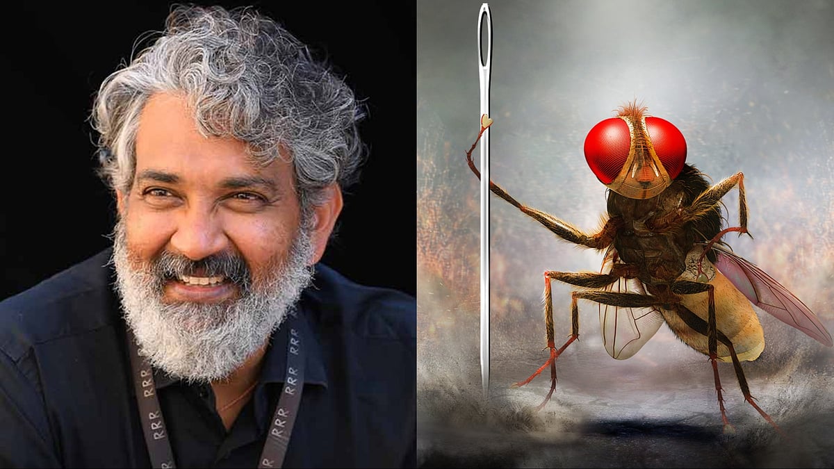 X : SS Rajamouli, 'Eega'