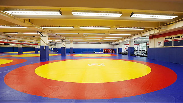 Asian Wrestling C'ships: Udit Secures Silver Medal, Abhimanyou And Vicky Bag Bronze