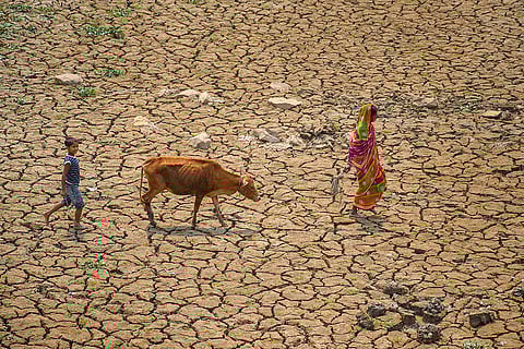 Dried-up lake in Nagaon
