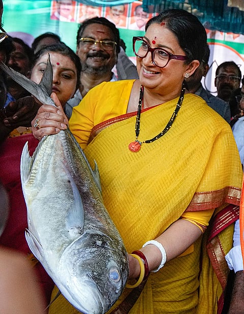 Smriti Irani campaigns in Chennai