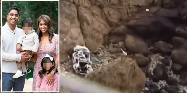 Indian-Origin Doctor Who Drove Tesla Off Cliff With Family Inside Experienced ‘Psychotic’ Break: Reports