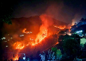 PTI : Uttarakhand Forest Fires: State Govt Says Only 0.1% Wildlife Cover Burning, SC Asks For Better Measures