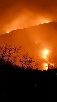 Deadly forest fire in Nainital |