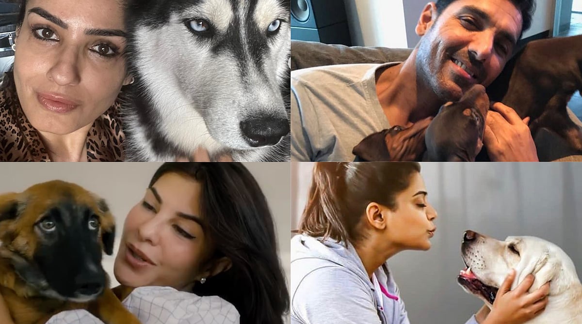 Instagram : Raveena Tandon, John Abraham, Jacqueline Fernandez, Priyamani with their pets