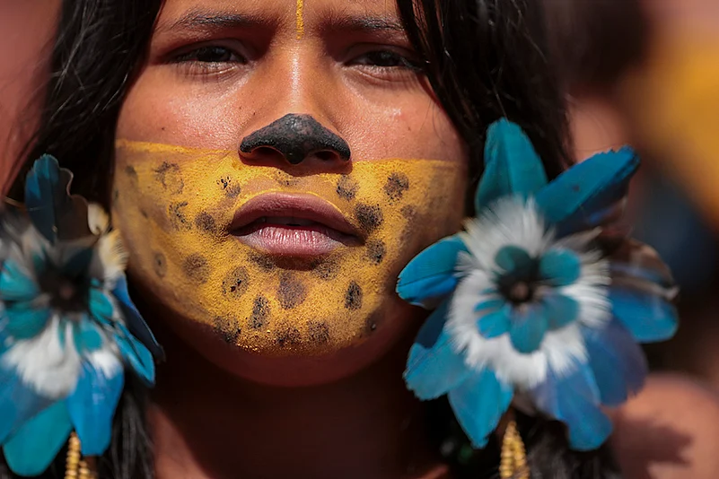 Brazil Indigenous