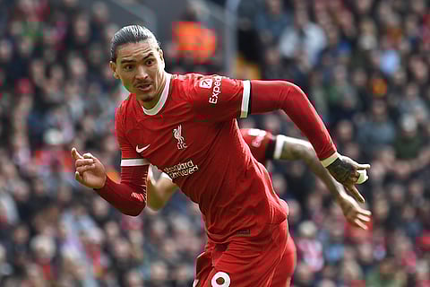 EPL 2023-24: Liverpool vs Brighton