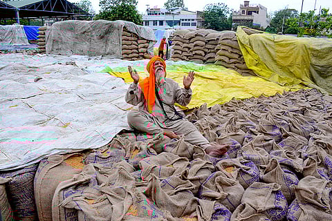 Standalone: Grain market in Patiala