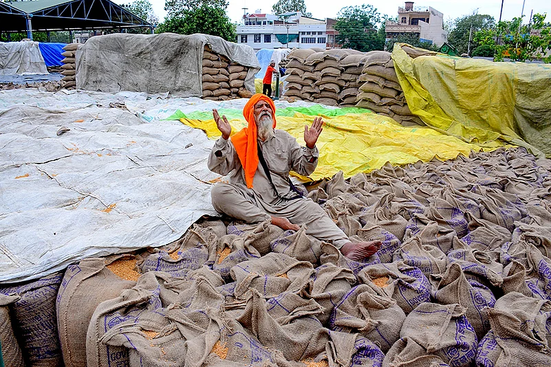 Standalone: Grain market in Patiala