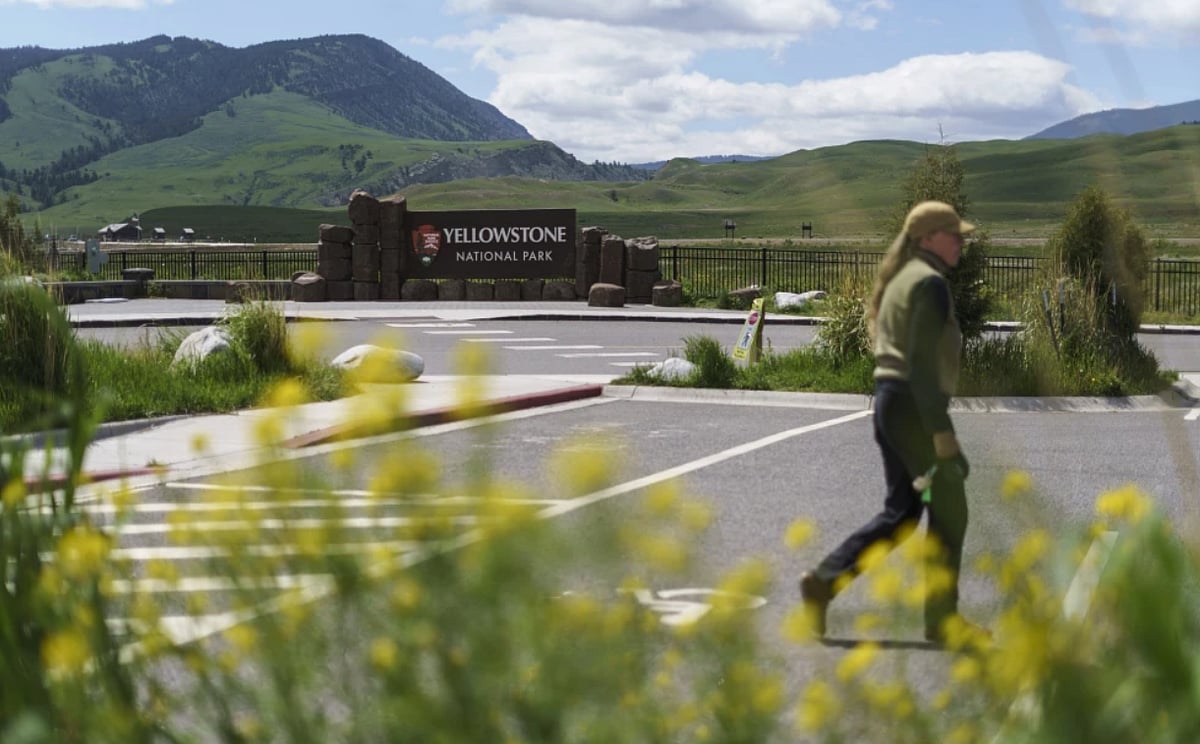 AP : Man arrested for kicking a Bison
