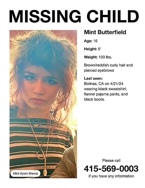 Missing poster of Mint Butterfield