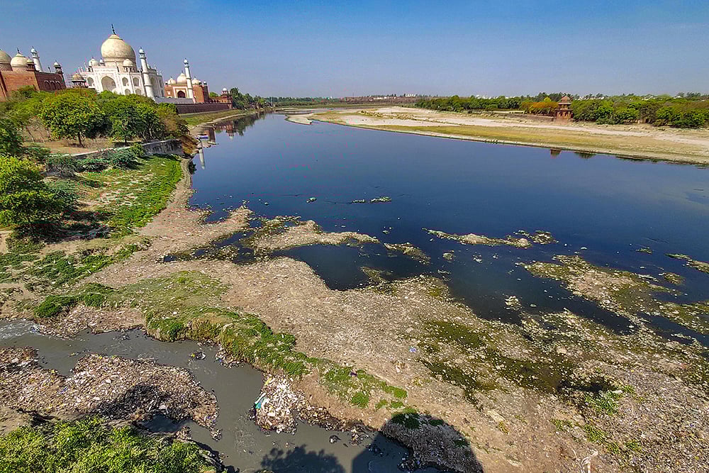 | Photo: PTI : SC orders clearing of Yamuna River