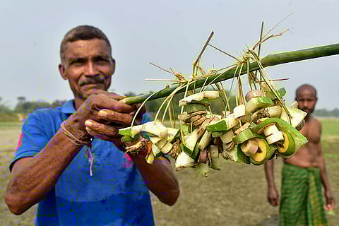 Bihu festival