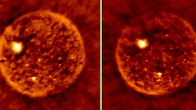 Detailed solar image captured through MeerKAT telescope by NCRA scientists | - NCRA