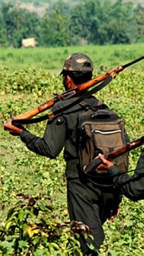 Security forces carry out anti-naxal operation in  Chhattisgarh |