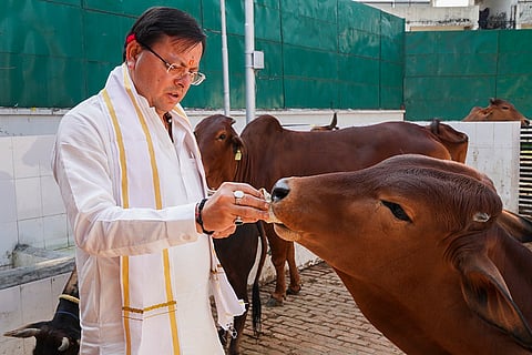 CM Dhami during Chaitra Navratri in Dehradun